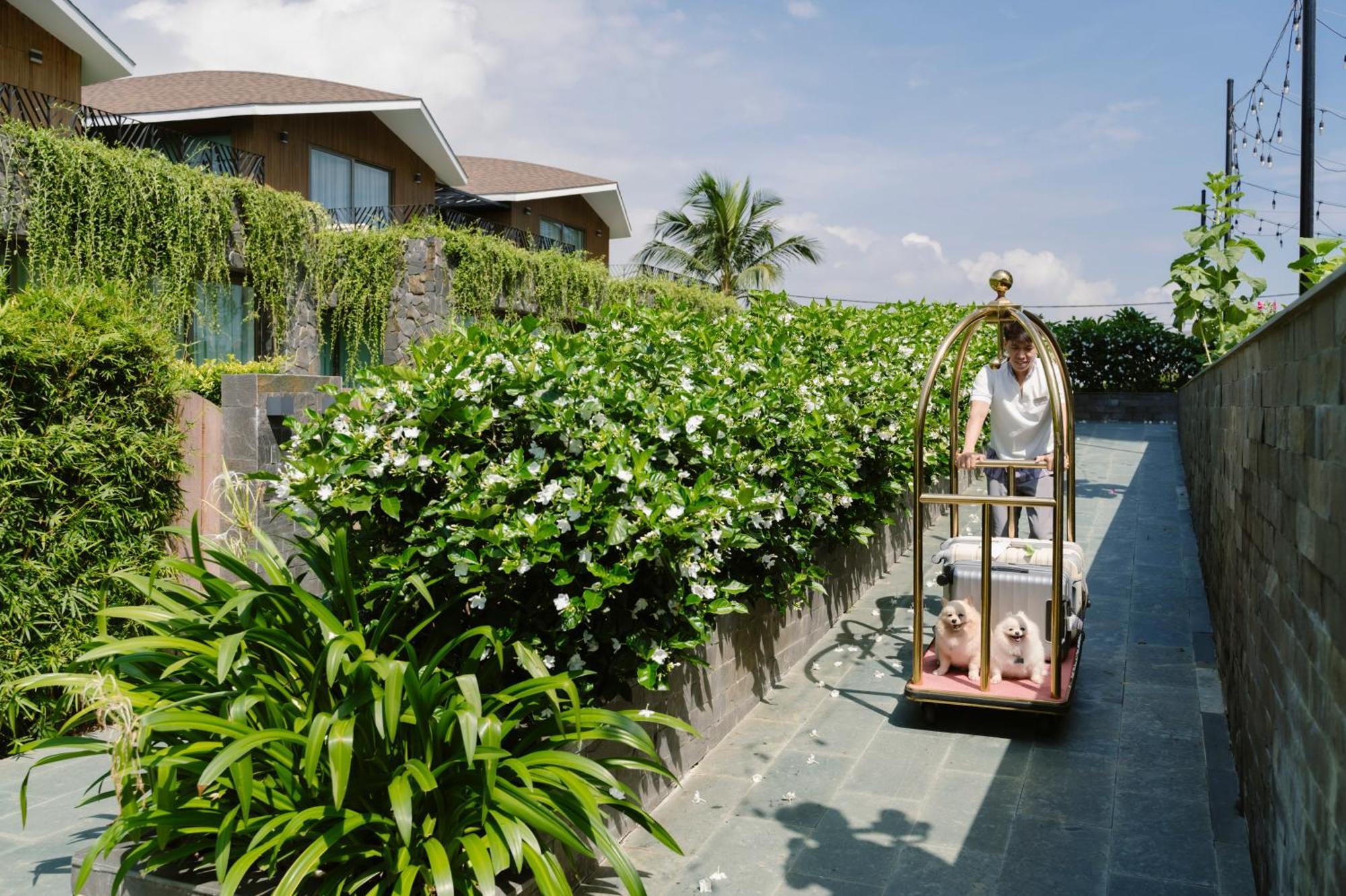 Bellerive Hoi An Resort And Spa Exterior foto